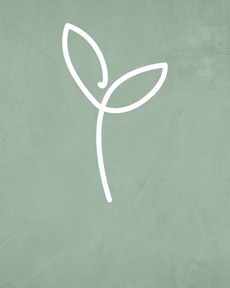 Green textured background with line drawing of two leaves.